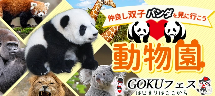 20代限定★来年2月に中国返還前の双子パンダを見に行こう!上野動物園デートスポット恋活♡犬猫ペット動物好き同士の出会いはここから★朝から活動したい方におすすめ★男女1対1トーク付き(東京都/上野)